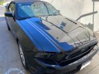 Thumbnail Photo 1 for 2014 Ford Mustang